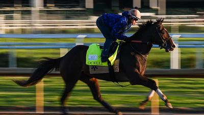 Kentucky Derby 2026: Answering Every Stupid Question You Might Have About Horse Racing