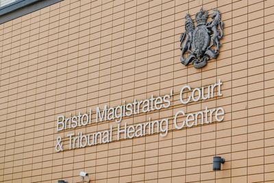 Tree surgeon thought he was ‘going to die’ during powerline electric shock