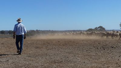 'Trying times': farmers stare down trifecta of troubles