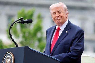 Greens vow to examine Donald Trump’s wealth