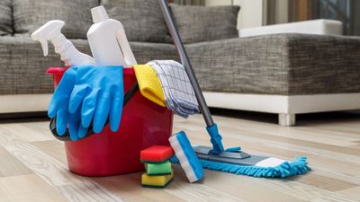 I 'employed myself' to give my home its spring clean — and it turned out to be the perfect motivation hack
