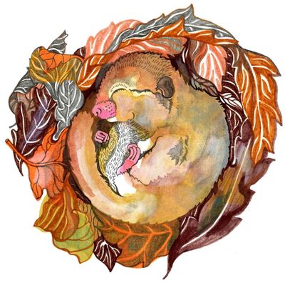 Why does nature sleep in winter and when did life first appear? The kids’ quiz