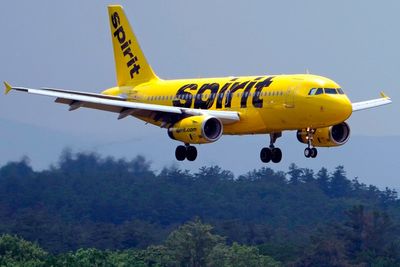 Trump eyes up taxpayer-funded takeover of Spirit Airlines after bankruptcy