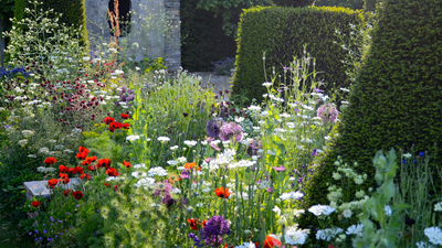 All the Best Gardens Right Now Look 'Overgrown' — Here's How to Get the Full, Wild Aesthetic, Without Things Looking Messy