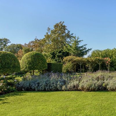 6 drought-tolerant shrubs to plant in May for a climate-resilient garden – these varieties thrive in warm weather