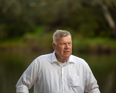 ‘Dave is for Dave’: One Nation may gain its first elected MP in Farrer but would he survive in Hanson’s orbit?