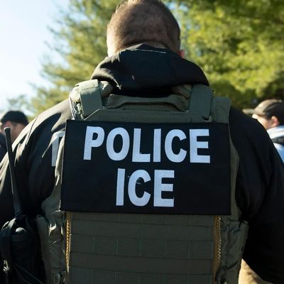 ICE Contracts Firm Accused of 'Torture' to Track Migrant Children for 'Safety and Wellness Check'