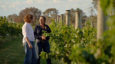 Garbage to glass: larvae helps turn waste into wine