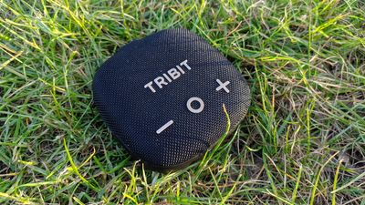 I took a great cheap Bluetooth speaker to the rainiest place possible, and it survived 7 busy days of abuse without a complaint — I'd definitely recommend it as a reliable music companion for your adventures