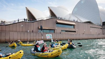 Kayakers take to water in solidarity with Gaza flotilla