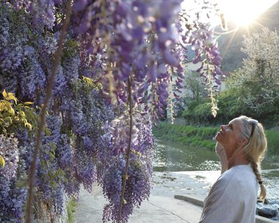 Stopping to admire wisteria and taking pride in your laundry? Join me in the land of grownups
