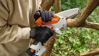 Stihl GTA 30 Garden Pruner Review: It's Powerful and Precise, But Not for Everyday Pruning
