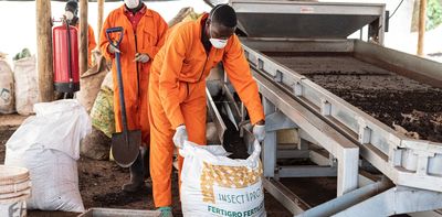 80% of Africa’s fertiliser is imported: how food systems can adapt to the Iran shock