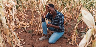 Extreme heat is a growing threat to health, jobs and food security in southern Africa – study looks for practical solutions