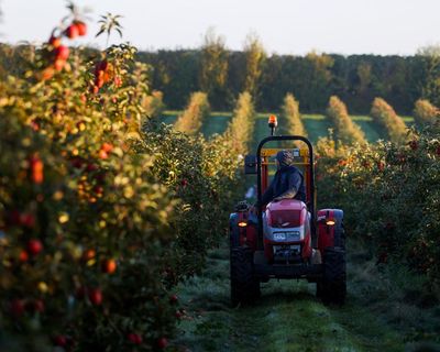 More farming co-operatives could ‘unleash growth’ in UK, finds report