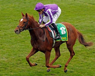 Horse racing: True Love earns Aidan O’Brien his eighth 1,000 Guineas winner – as it happened