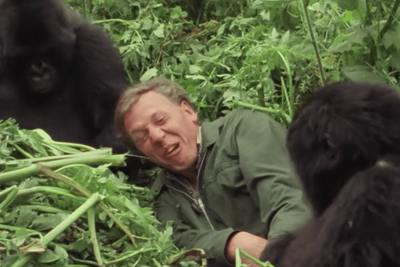 David Attenborough turns 100: The national treasure's 10 most iconic moments
