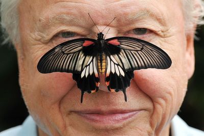 In Pictures: Sir David Attenborough’s charming friendship with animals