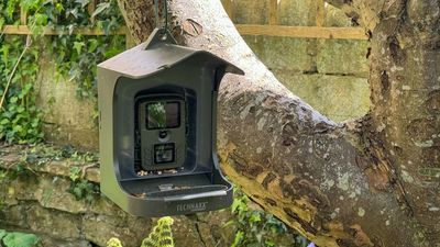 Technaxx Birdcam TX-165 review - a basic bird feeder camera that doesn't try to be smart
