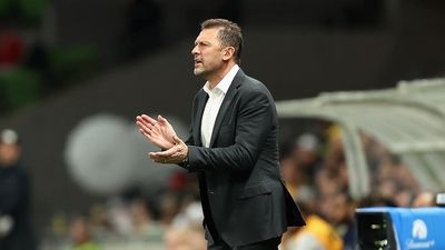 US political climate won't worry Socceroos boss