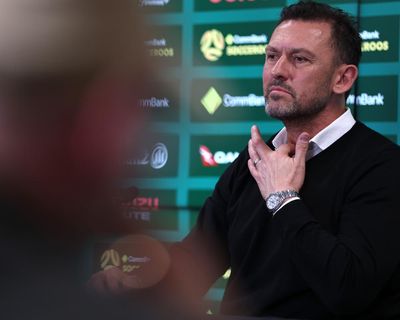 Socceroos eager to disprove World Cup underdog tag, says coach Tony Popovic