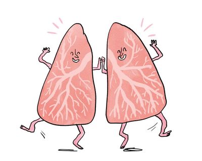 Is it true that … your lungs regenerate when you quit smoking?