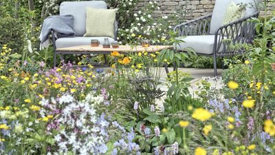 5 Designer Tricks That Make a New Garden Look Established by Summer – In Time for Summer Hosting