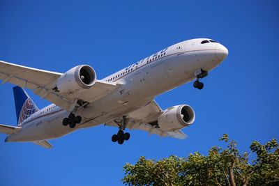 United Airlines Newark Collision: Viral Dashcam Video Shows Horrifying Crash – Is the Truck Driver Alive?