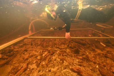 Neolithic timber platform older than Stonehenge found in Scottish loch