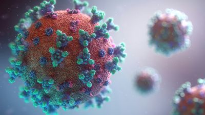 Hantavirus vs COVID: Is the Atlantic Cruise Ship Hantavirus Outbreak More Dangerous Than Coronavirus?