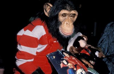 Shock claims about Michael Jackson’s chimp’s ‘child abuse’ resurface