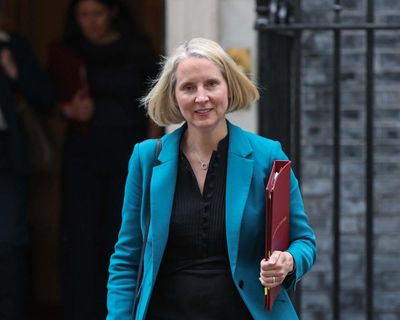 Saplings in prisons and bogs on military ranges: Labour’s plans for nature-friendly state land