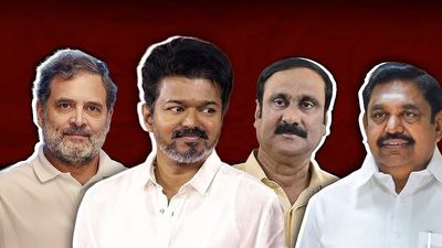 Tamil Nadu hung assembly: What are TVK and Vijay’s options?