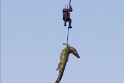 Police airlift crocodile from river on suspicion of eating missing businessman