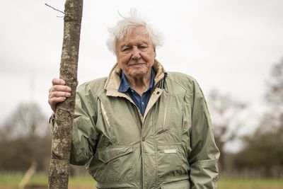 The first living species in the UK to be named after Sir David Attenborough