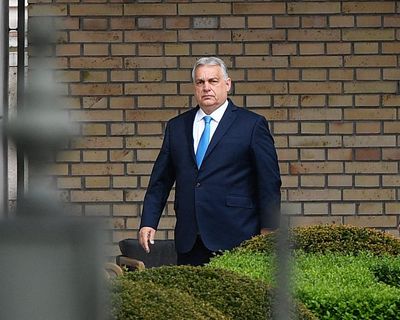 Central Europe is a laboratory for political trends
