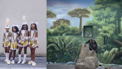 These 4 awe-inspiring photos show just what it takes to stand out amongst 10,000 images