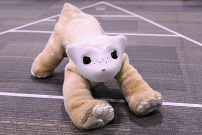 Roomba pioneer aims to crack the household market again with an AI-powered pet robot