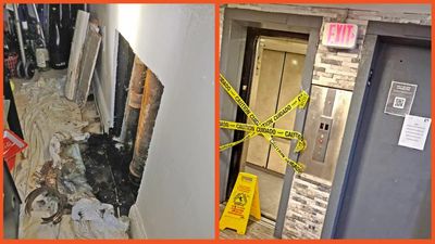 Long Island tenants decry squalid conditions as they’re forced to deal with ‘X-men’ bugs and wear masks in own homes