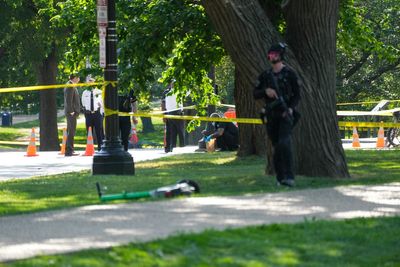 Suspect opened fire near National Mall after confrontation with officers, Secret Service says