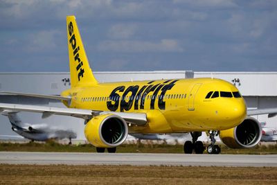 'Buy Spirit Airlines' website crashes as everyone wants in: 'Movement overwhelmed our servers'