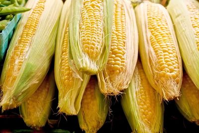 Corn Posting Midday Gains on Monday