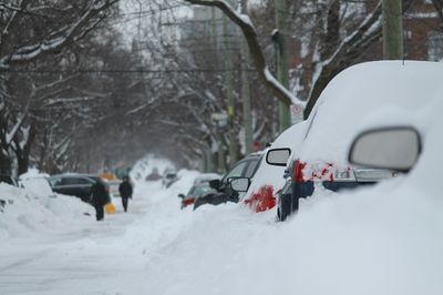 Snow Storm Warning: Cold Front Set to Drop Temperatures From 70s to Freezing as Colorado Faces Heavy Snow and Hard Freeze Risk