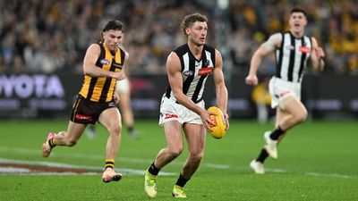 Perryman blow for Pies, Dees' Mihocek sidelined