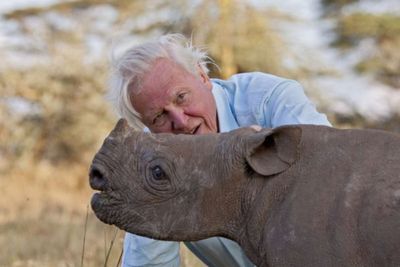 David Attenborough: Biggest must-watch TV moments ahead of 100th birthday celebration