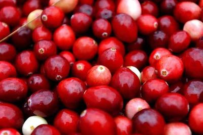 Scientists find cranberry juice could be used to fight drug-resistant bacteria