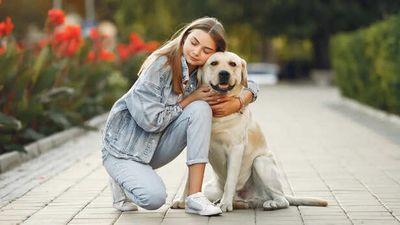 Why Some Pets Suddenly Stop Recognising Their Owners
