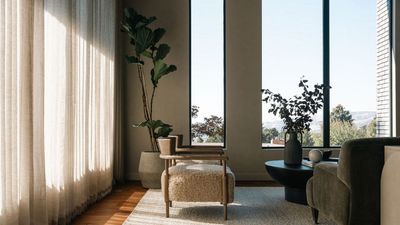 If You Don't Have At Least One Statement Structural Houseplant in Your Home, You're Missing Out on a Major Style Moment — Here Are the Top 5
