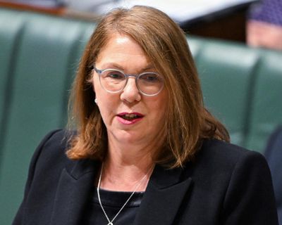Albanese government abandons beleaguered inland rail project connecting NSW with Queensland