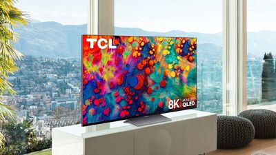 Roku and TCL accused of 'bricking' TVs with poor software updates in new class action lawsuit